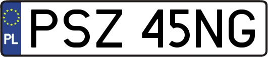 PSZ45NG