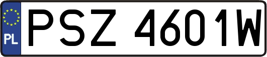 PSZ4601W