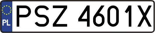 PSZ4601X
