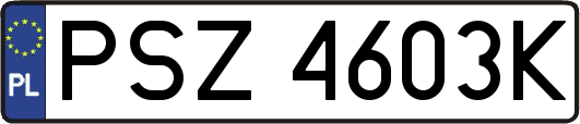PSZ4603K
