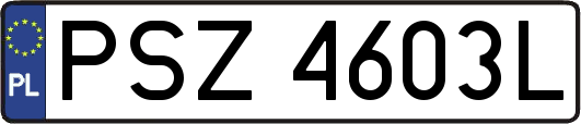 PSZ4603L