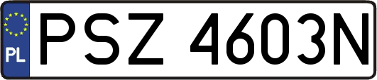 PSZ4603N