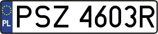 PSZ4603R