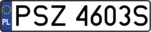 PSZ4603S