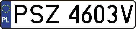 PSZ4603V