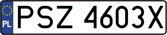 PSZ4603X