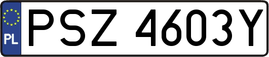 PSZ4603Y