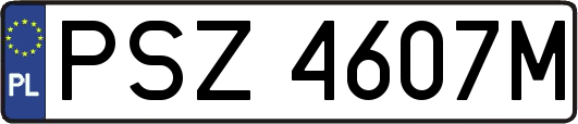 PSZ4607M