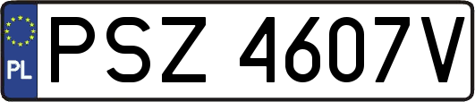 PSZ4607V