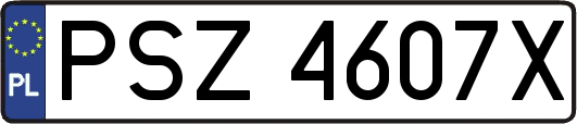 PSZ4607X