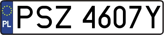 PSZ4607Y
