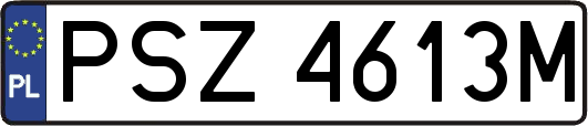 PSZ4613M