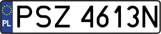 PSZ4613N