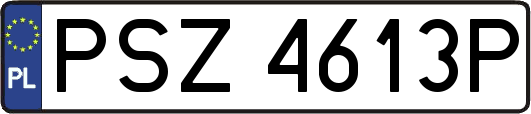 PSZ4613P