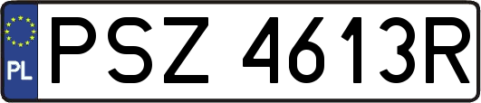 PSZ4613R
