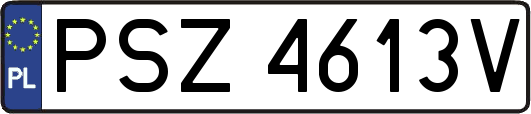 PSZ4613V