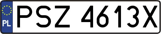 PSZ4613X