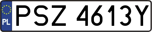 PSZ4613Y