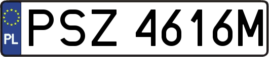 PSZ4616M