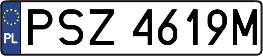 PSZ4619M
