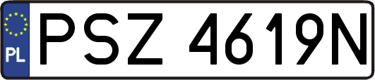PSZ4619N