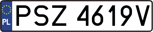 PSZ4619V