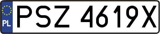 PSZ4619X