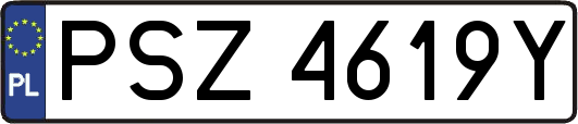 PSZ4619Y