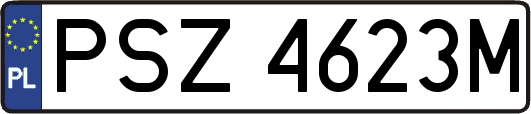 PSZ4623M