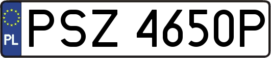 PSZ4650P