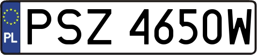 PSZ4650W