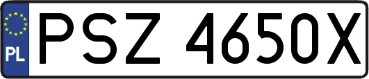 PSZ4650X