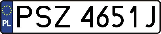 PSZ4651J