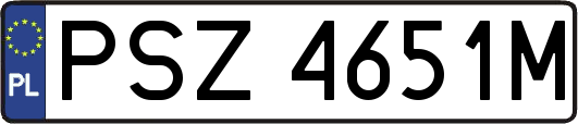 PSZ4651M