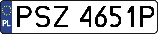 PSZ4651P