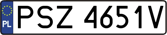 PSZ4651V
