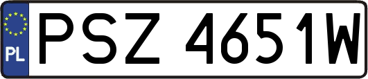 PSZ4651W