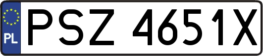 PSZ4651X