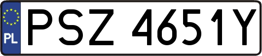 PSZ4651Y