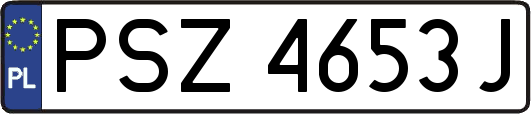 PSZ4653J