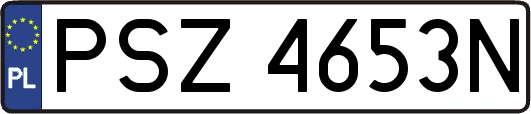 PSZ4653N