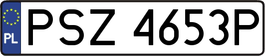 PSZ4653P
