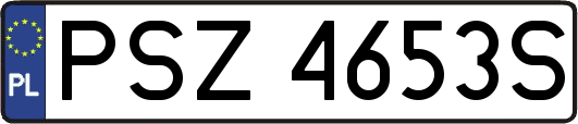 PSZ4653S