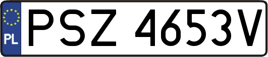 PSZ4653V