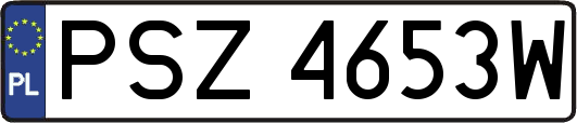 PSZ4653W
