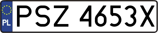 PSZ4653X