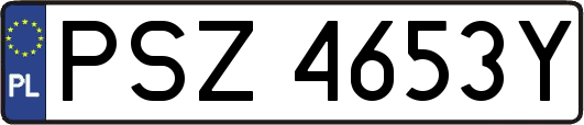 PSZ4653Y