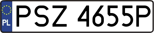 PSZ4655P