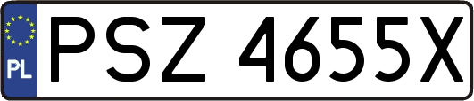 PSZ4655X