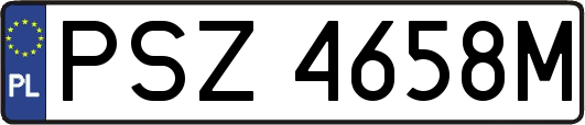 PSZ4658M